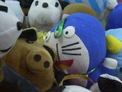 img20050129.jpg
