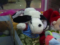 img20050129_2.jpg