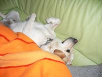 img20060306_2.jpg