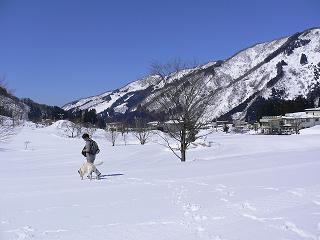 img20060316_2.jpg