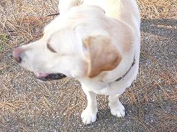 img20060308_1.jpg
