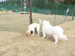 img20060313_1.jpg