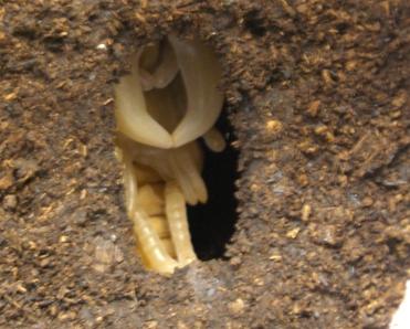 img20070727_2.jpg