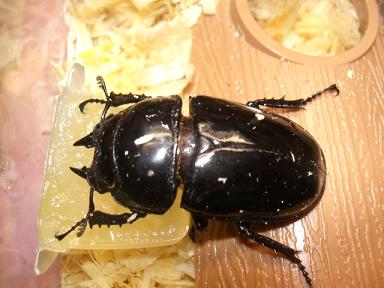 img20071228.jpg