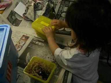 img20080531_3.jpg