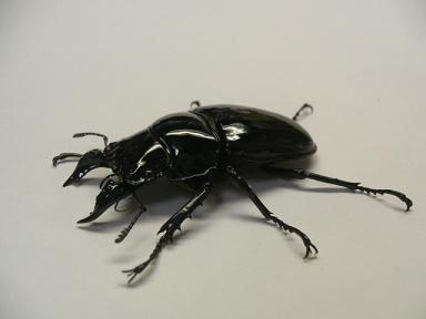 img20071020_1.jpg