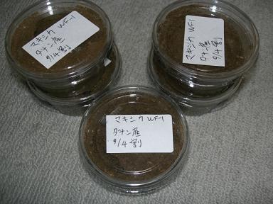 img20091005_1.jpg