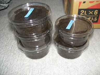 img20090928_1.jpg