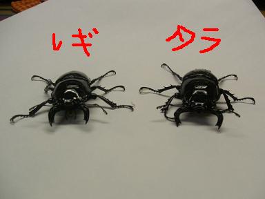 img20071020_3.jpg