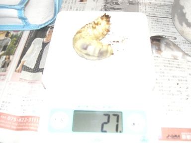 hope 27g