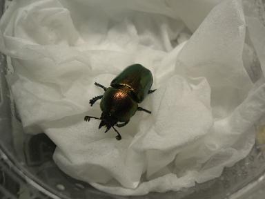 img20071118_2.jpg