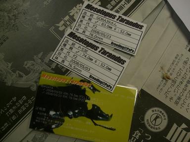 img20080531_5.jpg
