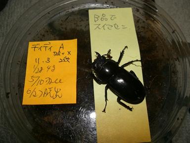 img20090928_2.jpg