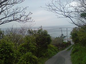 img20080413.jpg
