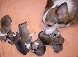 family.jpg
