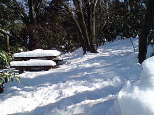 080204_1.jpg