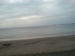 img20080413_3.jpg