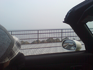080313_open.jpg