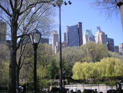 pict0093.jpg