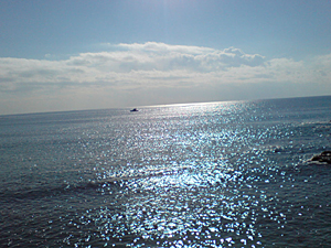 080204_2.jpg