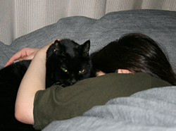 bed.jpg