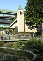 CIMG0303.jpg