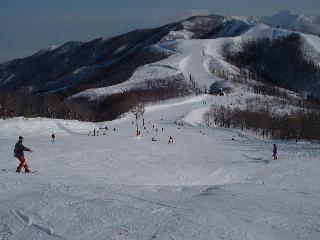 r01.jpg