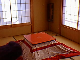12130048.jpg