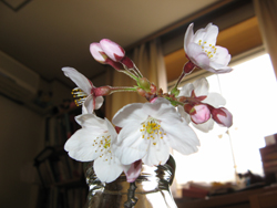 img20090408.jpg
