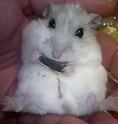 img20071213_7.jpg