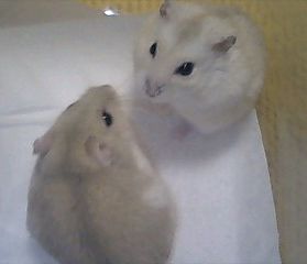 img20060526_1.jpg
