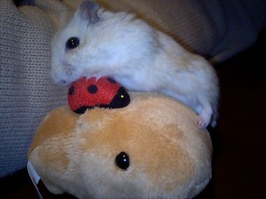 img20071127_5.jpg
