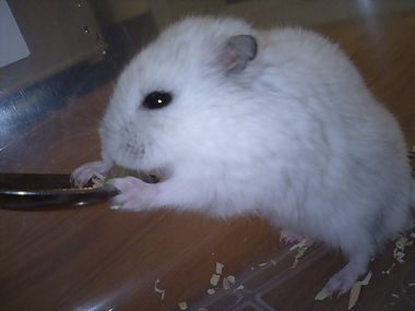 yukio11.jpg