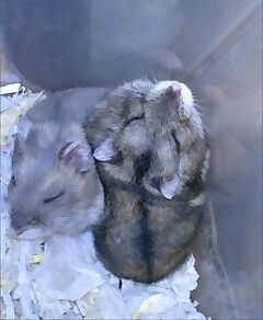 img20071025.jpg