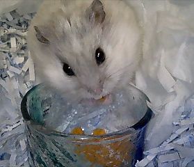 img20071213_6.jpg