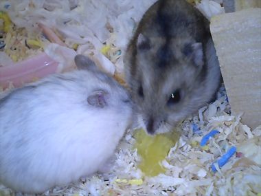 img20071119.jpg