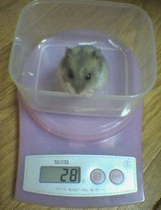 051226_2043%7E02.jpg