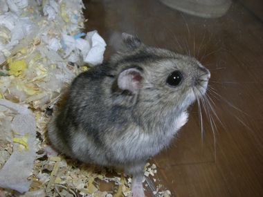 mogumu.jpg