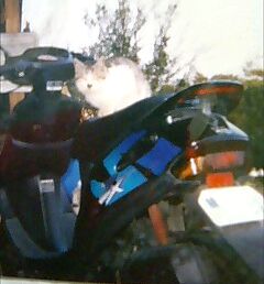 img20060427_1.jpg