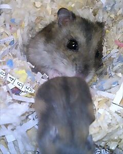 img20070824_2.jpg