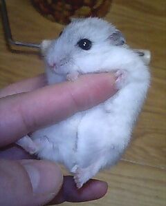 yukio4.jpg