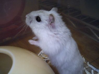 yukio4.jpg