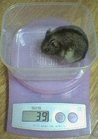 051226_2044%7E01.jpg
