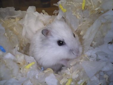 yukio11.jpg