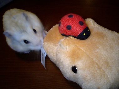 img20071127_4.jpg