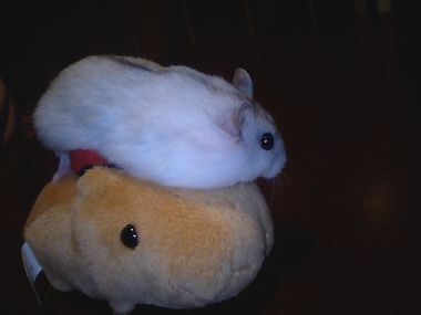 img20071127_3.jpg