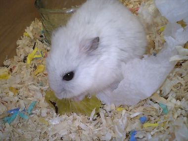 yukio9.jpg