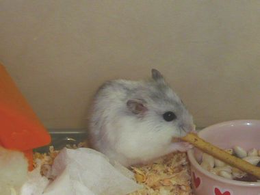img20080530.jpg