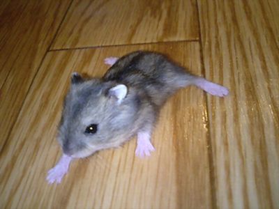 img20070926_1.jpg