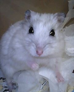 yukio3.jpg